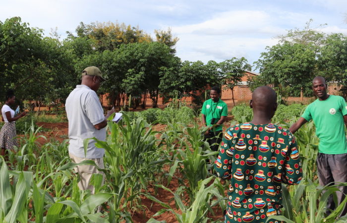 SKI-visitors-view-the-local-fields-and-engage-with-SFHC-farmers_slim-2