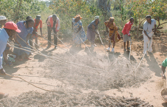 XV_05-04-18-TSURO-Day-0201-Ward-3-threshing_slim