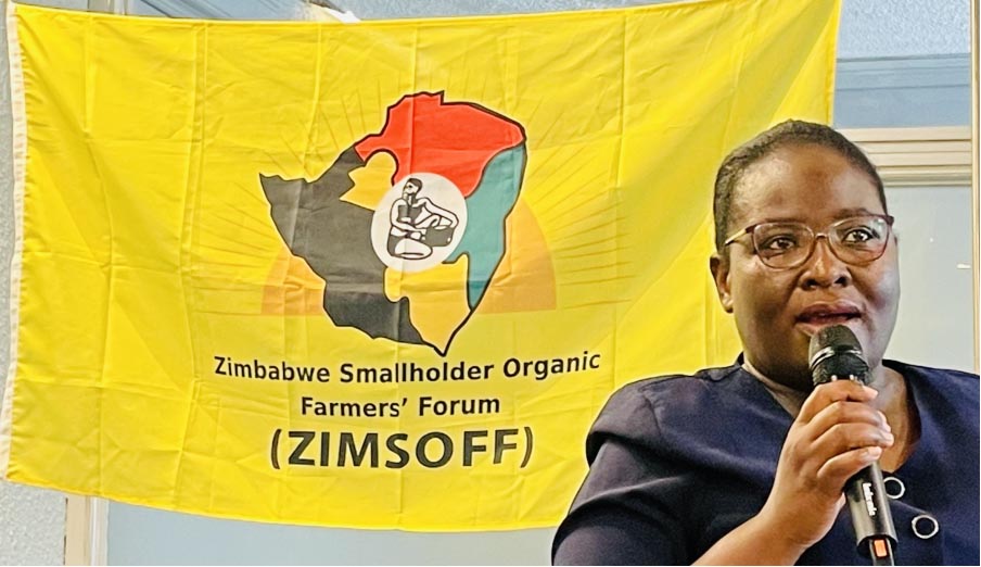 Image 5: Photo By Frances Davies - Patience Shumba of ZIMSOFF making a point during the UPOV Meeting in Zimbabwe